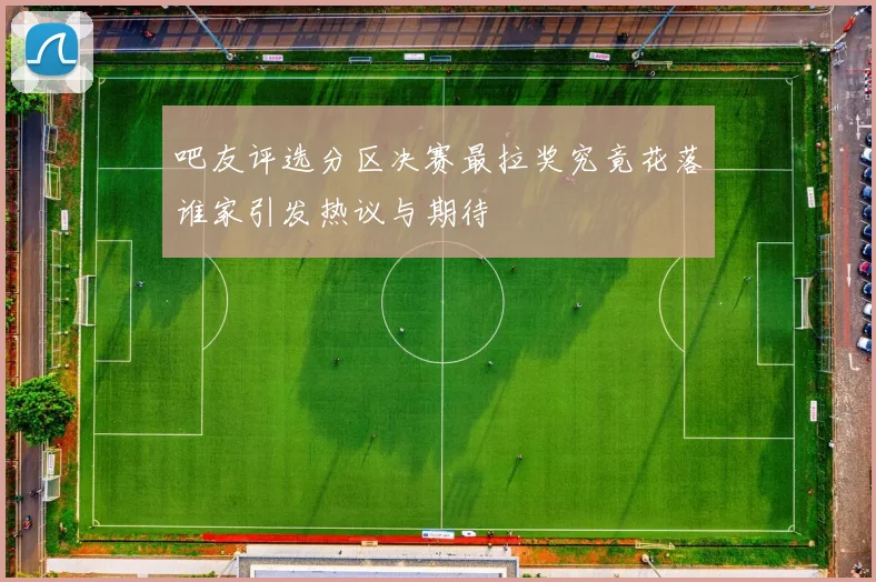 吧友评选分区决赛最拉奖究竟花落谁家引发热议与期待